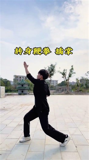 Master Southern Fist Kung Fu Moves: Your First Lesson Unveiled