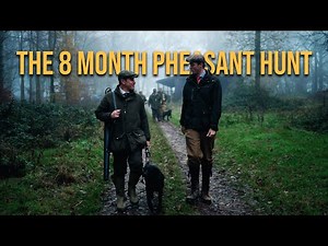 Gun Build to Game Shoot - The Oxfordshire Driven Pheasant Day