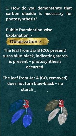 Life Processes Class 10 | AP & CBSE #Photosynthesis #LifeProcesses #education
