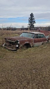 Where the tall grass grows through hot rods. #ddspeedshop #junkyard #classiccar #fieldfinds | DD Speed Shop