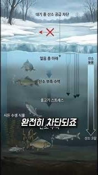 Vibrations on the water vs. the lateral line organ of a fish