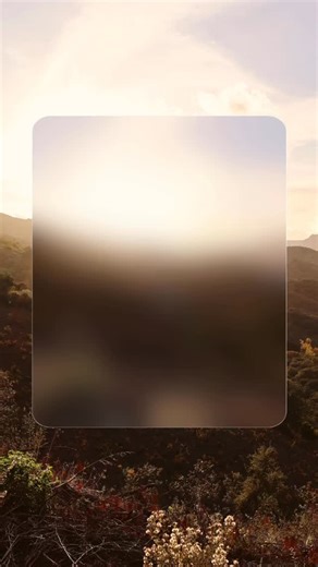 We’re Time and Space, a family-run NGO dedicated to force-free training and ethical treatment. Follow us for cute animal pics, educational vids, and powerful activism. 📸 by @leajasmin.x. #animalwelfareorganization #horsecharming #forcefree #ngo #grassroots | Time and Space Equine Education Sanctuary