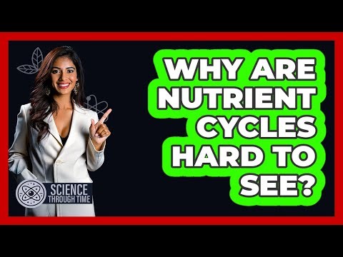 Why Are Nutrient Cycles Hard To See? - Science Through Time