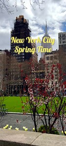 Spring Magic in NYC – The Ultimate Visual Tour . . #newyork #spring2025 #nyc | New York City Pictures .