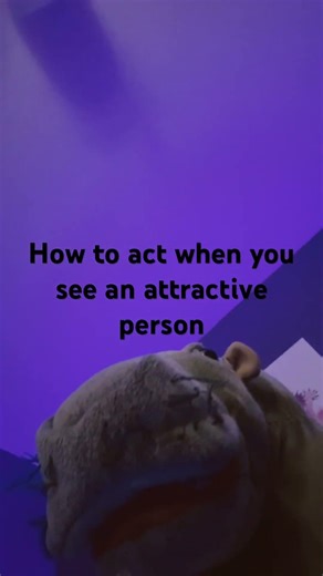 Introducing the puppet: Bert!