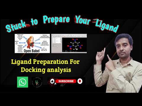 Molecular Docking Mistakes | Conversion of ligand structure | # BioExplorer