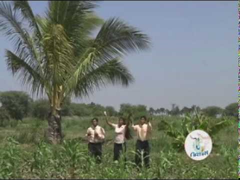 Fuego Milagrosos - Maximo Paitan