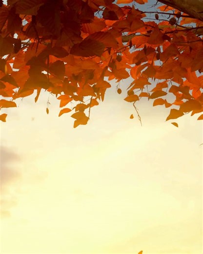 Auf die Coupons, fertig, los! 🥳 Die NORMA Plus App versorgt euch jede Woche mit neuen Rabatt-Coupons! 🛒 Sparen kann so einfach sein: 👉🏻 NORMA Plus App herunterladen 👉🏻 blitzschnell registrieren 👉🏻 Rabatt-Coupons aktivieren und an der Kasse vorzeigen Jetzt App downloaden und Woche für Woche beim Einkauf abräumen! Den Link findet ihr in der Bio! NORMA Immer mehr Angebote fürs Geld. 💛🧡❤️ #Norma #ImmerMehrFürsGeld #Angebote #CleverEinkaufen #App #Coupons #AngeboteShoppen | NORMA - Dein Leb