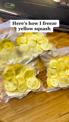 Here’s how I freeze our yellow squash to use for casseroles, stewing or frying in the winter. I like to vacuum seal them with this @foodsaver but would like to one day have a @harvest_right freeze dryer too! #foodpreservation #yellowsquash #vacuumseal #foodstorage #growyourownfood #homestead #homesteading #homesteadprepper #fyp #foryoupage #gardening #zone7garden #happygardener #localproduce #freshproduce | Rosehips Rewritten