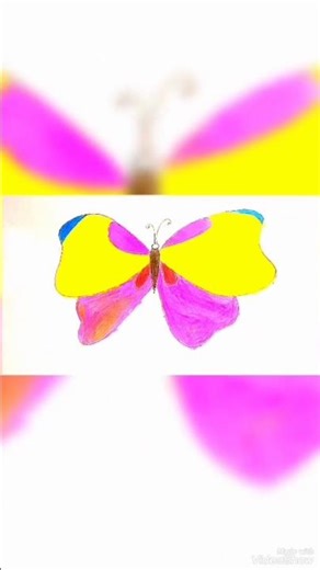 How to draw butter flay with painting 3D drawing.