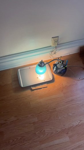 TikTok - Make Your Day