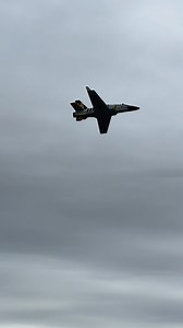 3.3K views · 47 reactions | FMS 15th Anniversary Viper is on sale...