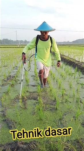 basic techniques #algorithm #shorts #shortsfeed #fyp