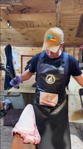 Find the proper fleshing apron