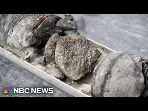 Dinosaur fossil found under Denver museum parking lot