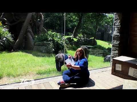 Zoo Science: Ethogram