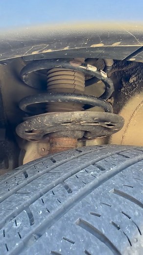 🙀Thank You Alex for fixing this horrible sound! #strutsgonebad@alexpalomba | Lori Wood