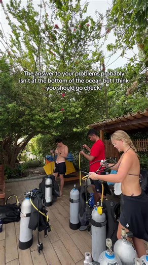 Exploring Marine Life Through Scuba Diving Adventures