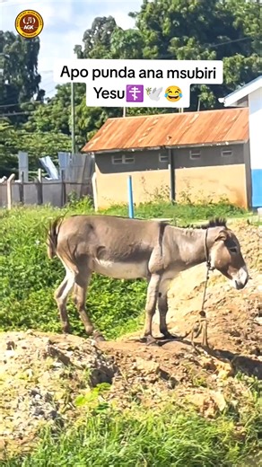 Kwaresima njema 🙏☦️. #tiktokkenya #kenyatiktok_kenya🇰🇪💖 #finale #wewe