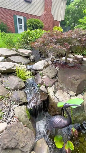 Natural Sound of Beautiful Pond in Alexandria, VA 🥰🐟