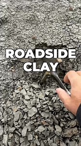 28K views · 446 reactions | Roadside treasures await! One of the...