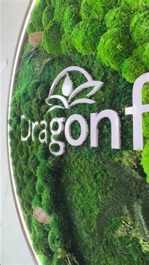 At Dragonfly Wellness, we brought nature indoors with a Seamless Moss Wall with Logo Add-On.