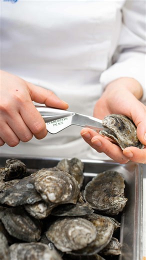When Chef @megbickford says it’s the best oyster knife she’s ever used… we listen. Our exclusive @messermeister oyster knife brings the same control and elegance we use in our kitchen straight to yours. Shop here: https://shop.commanderspalace.com/products/engraved-oyster-knife | Commander's Palace