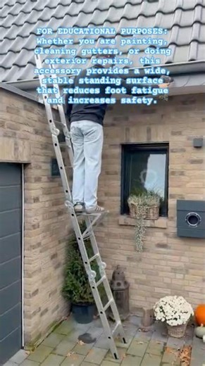 The Ultimate Ladder Platform #shorts #ladder #relatable