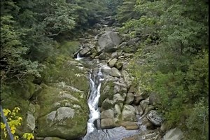 Yakushima