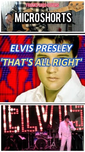 THAT'S ALL RIGHT - ELVIS PRESLEY | FRANKS BASS COVERS #microshorts