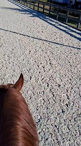 I remember Rich Bradshaw saying you can't ride every day of the year if you don't ride on the 1st! Being in Ocala this time of year definitely simplifies that! | Timothy Pumphrey