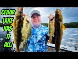 CEDAR LAKE HAS IT ALL- New Season Teaser