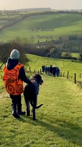 We took Danú, the resident Uisneach pony on a tour yesterday! Wolfhound pups don't realise their own strength, but look how she turns around to check if Jamie is OK!! A bit more training and she'll be ready for regular tours! Tours available at www.uisneach.ie #uisneach #sacredcentreofireland #westmeath | Uisneach