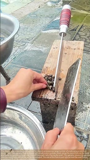 The REAL Reason Cleavers Have a Hole!