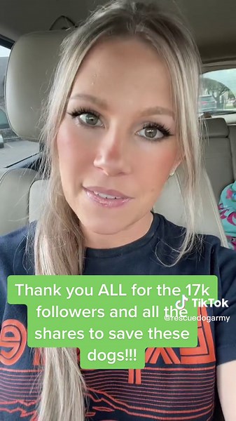 Rescue Dog Army on TikTok
