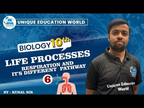 Life Processes Part 6 | Respiration and Its Different Pathways | Class 10 Biology