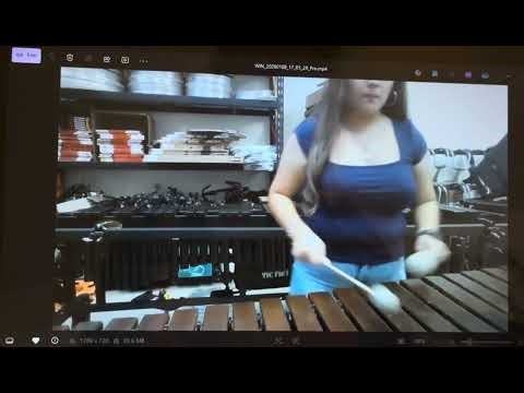 12 major scales + chromatic scale 