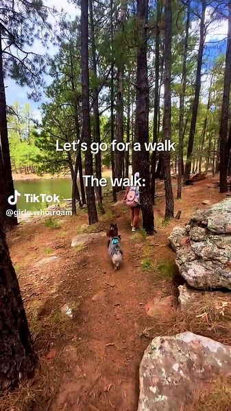 We’ll take the long way around—chasing lakes, wandering forest trails, and stopping every five minutes because it’s just too pretty not to. #hiking #girlswhohike #dog #lake #adventure