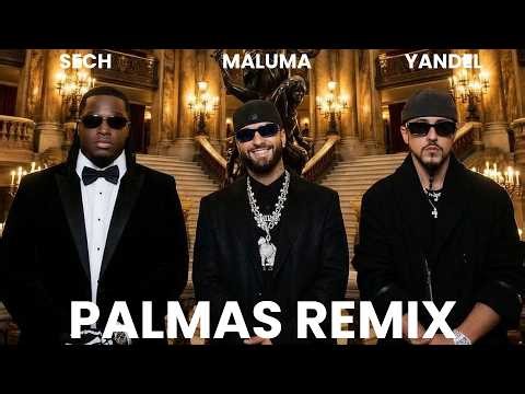 Maluma, Yandel, Sech - Palmas Remix (Official Video)