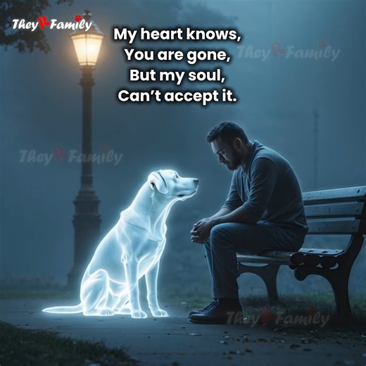 41K views · 3.3K reactions | Some wishes never fade. My heart still waits beside your bed, hoping love can bring you home again  #pets #doglover #dog #petlover #theyrfamily | They R Family | Facebook