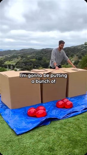 Dangie Bros on Instagram: "Don’t Jump into the Wrong Mystery Box!"