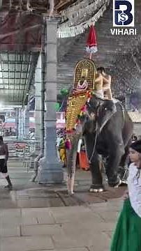 Chottanikkara Amma Temple 🙏 Powerful Devi Temple in Kerala | Divine Darshan #shorts