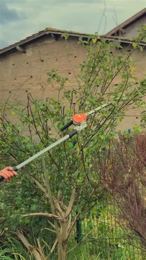 ETS Chaleil - Paysagiste 63 on Instagram: "Même sans grands arbres, un jardin peut avoir du caractère 🌳 Nous jouons sur les hauteurs, les volumes et les textures pour structurer l’espace et créer une ambiance naturelle et équilibrée ! 🏡 Chaque plantation est pensée pour évoluer dans le temps et s’intégrer harmonieusement au jardin 🪴 —— ETS Chaleil - Paysagiste 🌳 📍Courpière & Puy-de-Dôme 📞 04.73.53.28.72 Code promo -5% HT : CHALEIL5RS #paysagiste #aménagement #transformation #etschaleil"