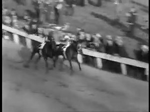 70K views · 714 reactions | Seabiscuit vs. War Admiral - 1938 Match Race | Notícias do Quarto de Milha e PSI | Facebook