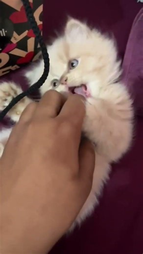 ❤️❤️❤️❤️