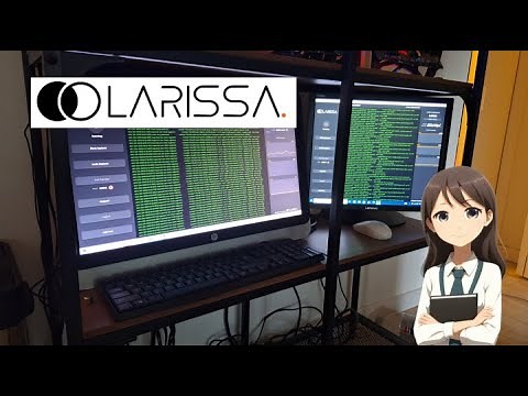 ONE WEEK ROI WITH THIS NODE + Tutorial | Larissa Network