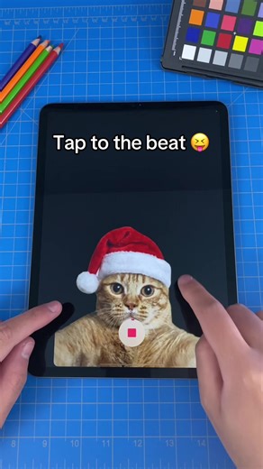 Christmas cat selfie 😹 #christmas #cat #catselfie #filter | filter