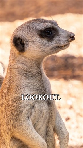 How Much Water Will Project Blue Actually Need? #water #tucson #facts