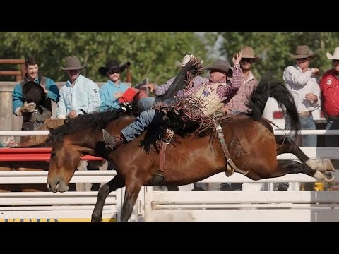 Medicine Hat Exhibition and Stampede Release Their Stampede Week Events | Rogers tv