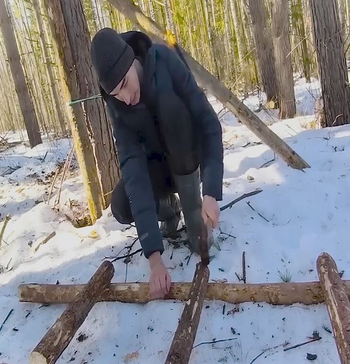 111K views · 1.6K reactions | In 13 days, a man built a shelter out of bears in a tree - Alex Wild Life | Thomas Wilderness | Facebook